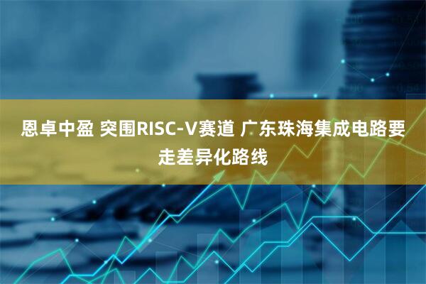 恩卓中盈 突围RISC-V赛道 广东珠海集成电路要走差异化路线