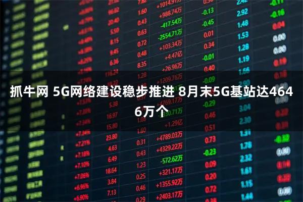 抓牛网 5G网络建设稳步推进 8月末5G基站达4646万个