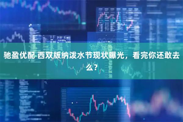驰盈优配 西双版纳泼水节现状曝光，看完你还敢去么？