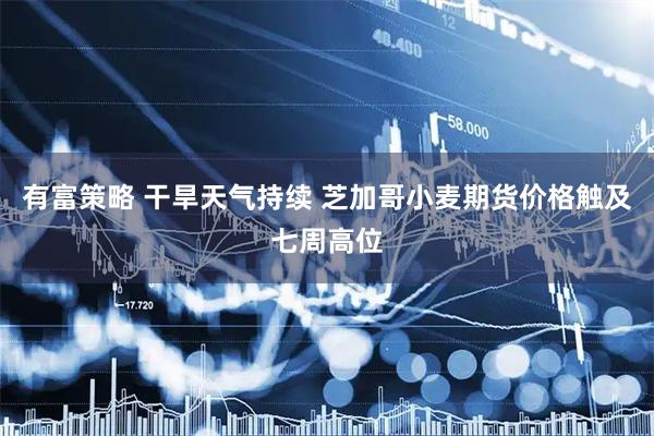 有富策略 干旱天气持续 芝加哥小麦期货价格触及七周高位
