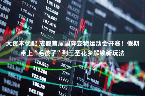 大资本优配 成都首届国际宠物运动会开赛！假期带上“毛孩子”到三圣花乡解锁新玩法